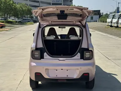 Galaxy Panda
