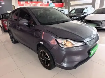 NETA Neta V