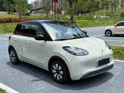 Wuling Bingo