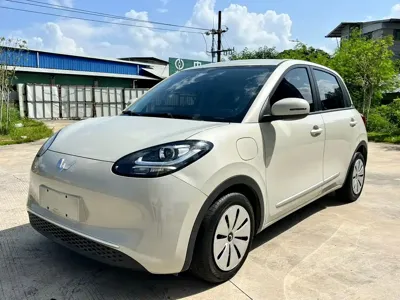 Wuling Bingo