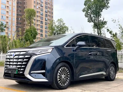 Denza Denza D9