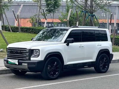 Haval Menglong New Energy