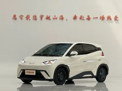 BYD Seagull