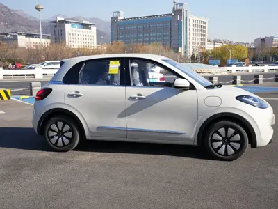 Wuling Bingo