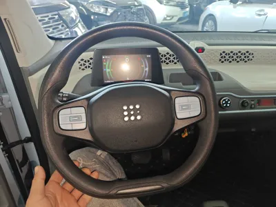 Dongfeng Fengon MINIEV
