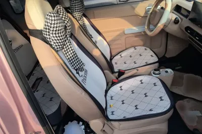 Geely Galaxy Panda