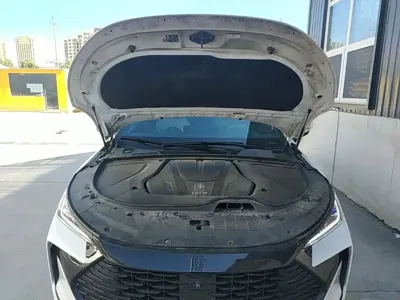 BYD Tang New Energy