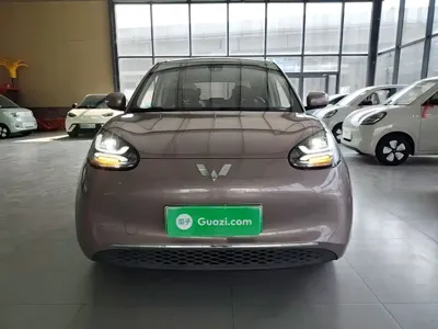 Wuling Bingo