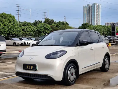 Wuling Bingo