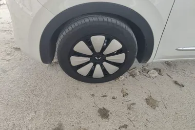 Wuling Bingo