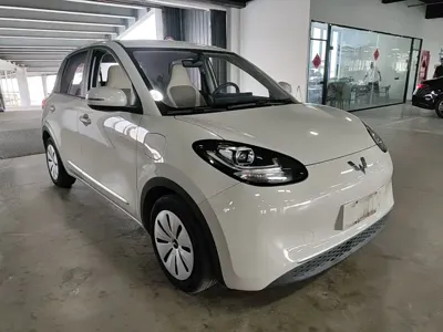 Wuling Bingo