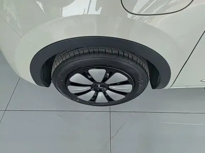 Wuling Bingo