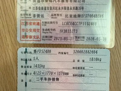 BYD Dolphin
