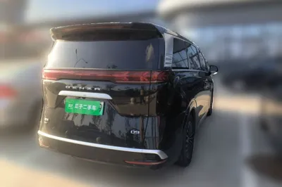 Denza D9