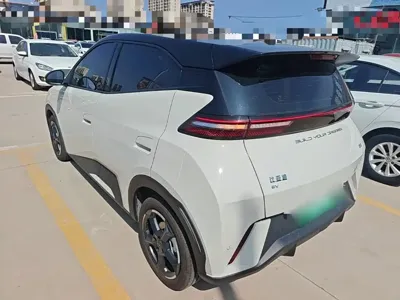 BYD Seagull