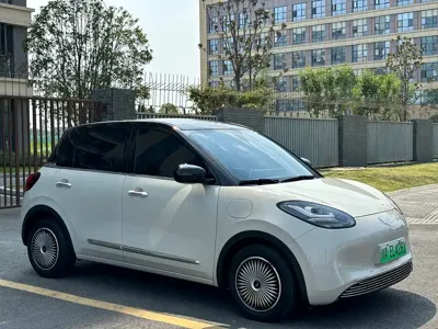 Wuling Bingo