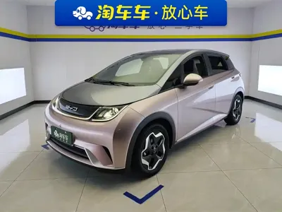 BYD Dolphin