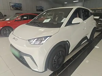 BYD Seagull