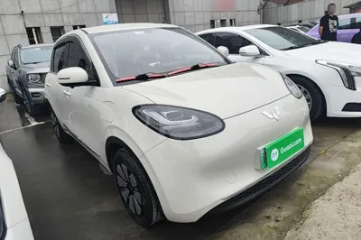 Wuling Bingo