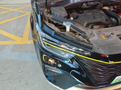 Roewe RX5 New Energy