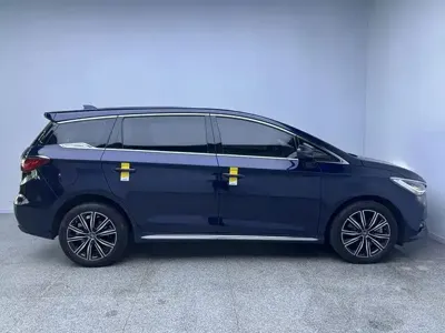 BYD MAX New Energy