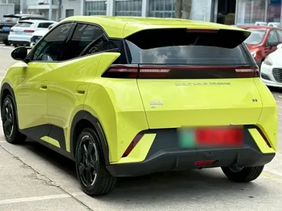 BYD Seagull
