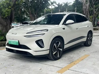 BYD 海狮06