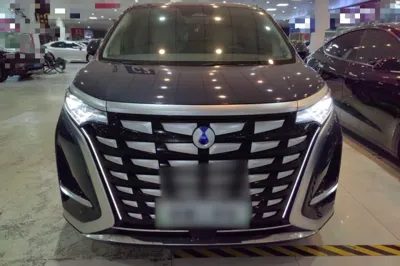 Denza D9