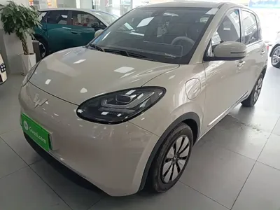 Wuling Bingo