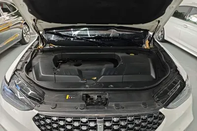 WEY VV6