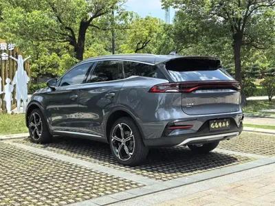 BYD Tang New Energy