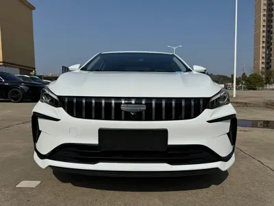 Geely Binrui