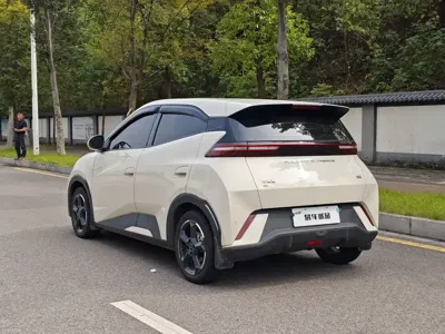 BYD Seagull
