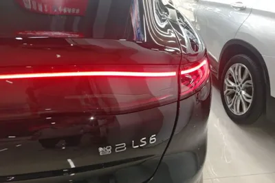 IM LS6