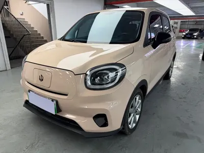 Leapmotor Leapmotor T03