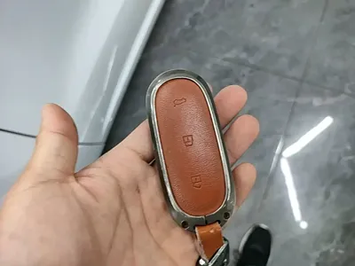 Li Auto Li L6