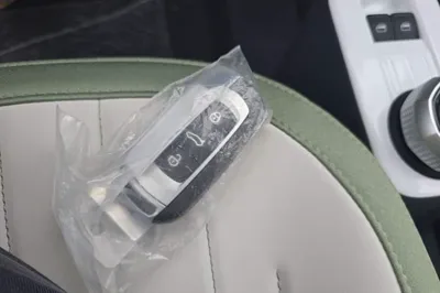 Geely Galaxy Panda