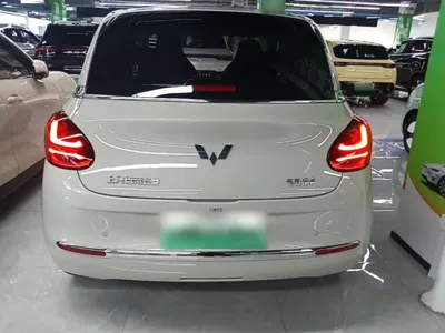 Wuling Bingo