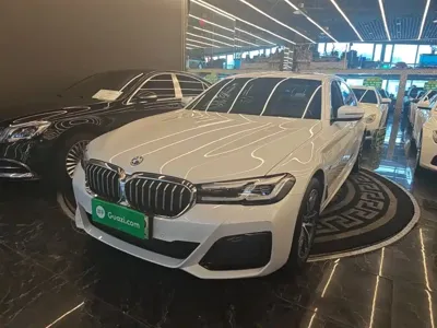 BMW 5 Series New Energy