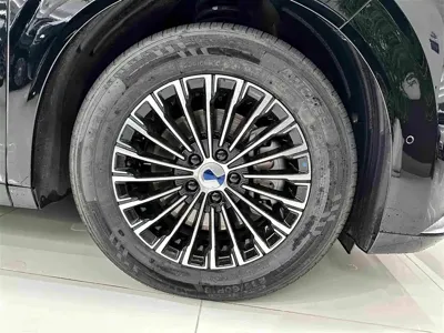 Denza Denza D9
