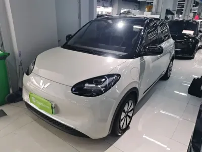 Wuling Bingo