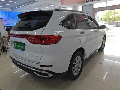 Haval M6