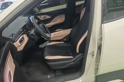BYD Seagull