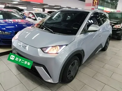 BYD Seagull