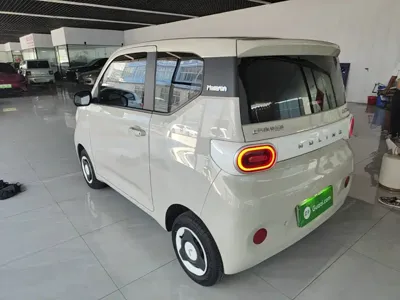 Wuling MINIEV