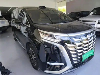 Denza Denza D9