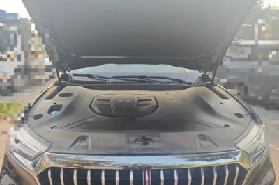 Hongqi HS5