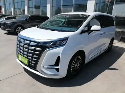 Denza Denza D9