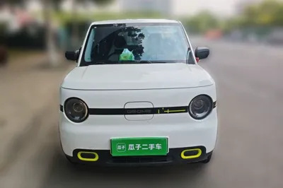 Geely Galaxy Panda