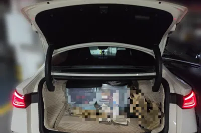 BYD Seal 06 New Energy